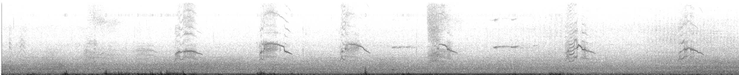 Патагонская чайка - ML616730484