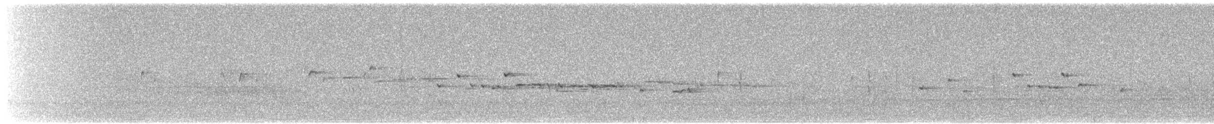 Gérygone de Nouvelle-Zélande - ML616733430