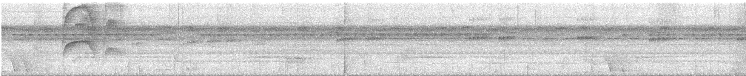 Orange-eyed Flatbill - ML616734958
