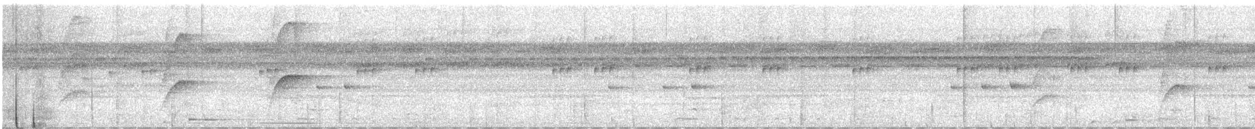 Orange-eyed Flatbill - ML616734959
