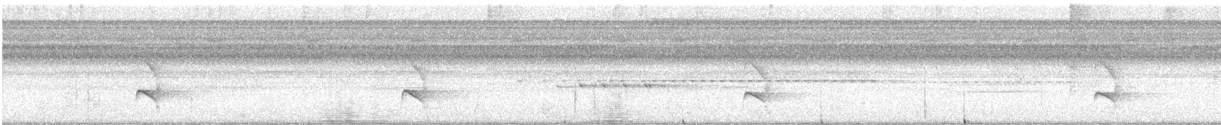 Nordamazonien-Ameisenschnäpper - ML616735468