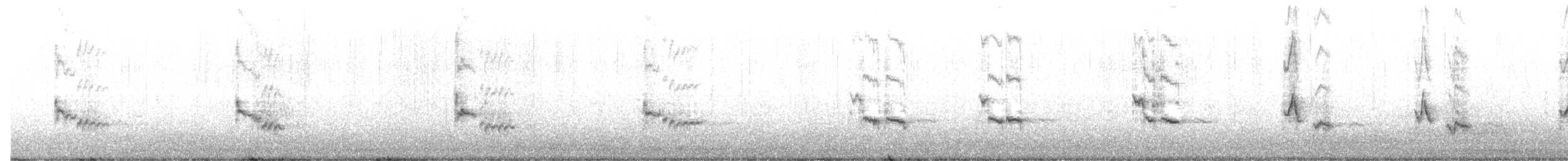 Sinsonte Norteño - ML616735518