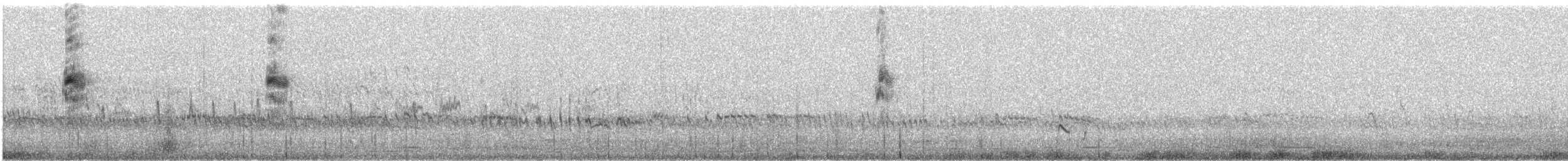 Weißbart-Seeschwalbe - ML616736037