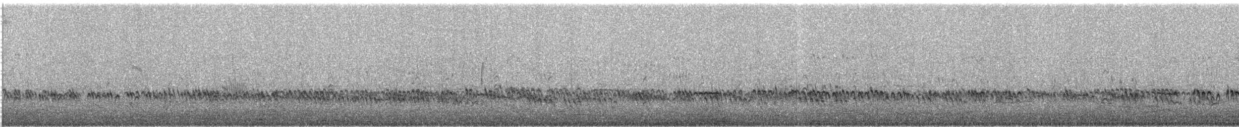 Төвд хиазат - ML616736258