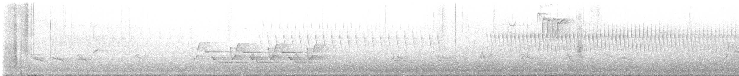 フタスジモズモドキ - ML616736270