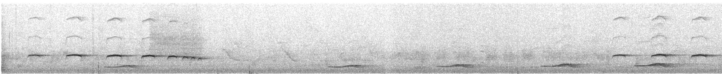 Plaintive Cuckoo - ML616736375