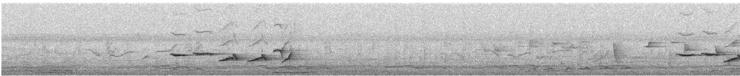 Oriental Magpie-Robin - ML616736388