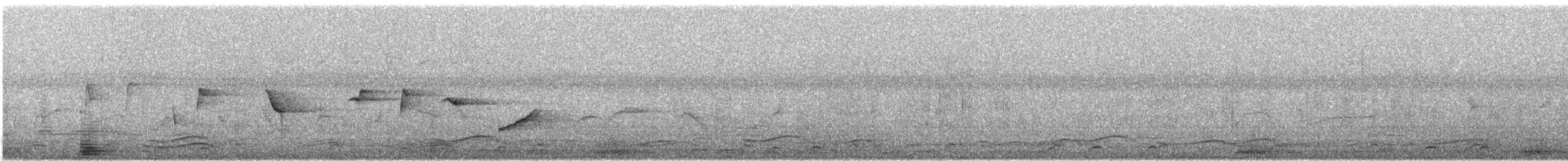 Malaysian Pied-Fantail - ML616736399