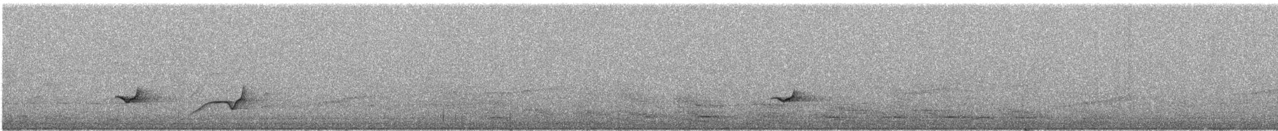 Silbador de Manglar - ML616736614