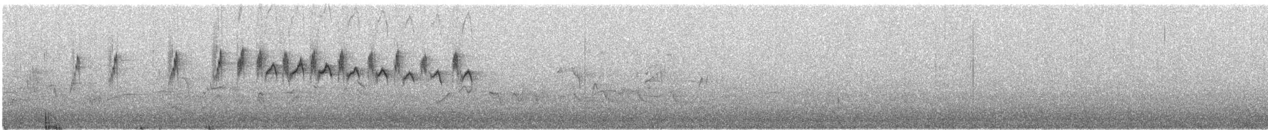 Suimanga Ornado - ML616736626