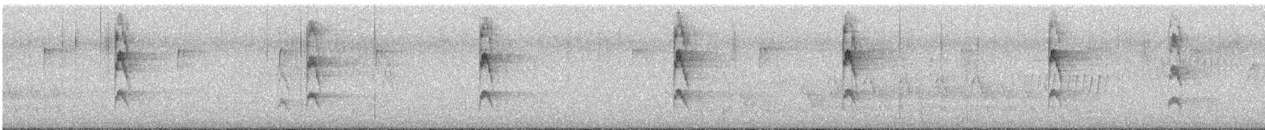 Red-cockaded Woodpecker - ML616736647