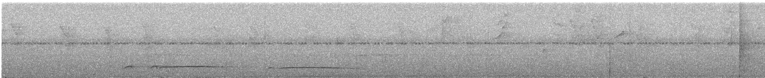 Лінивка-смугохвіст західна - ML616736672