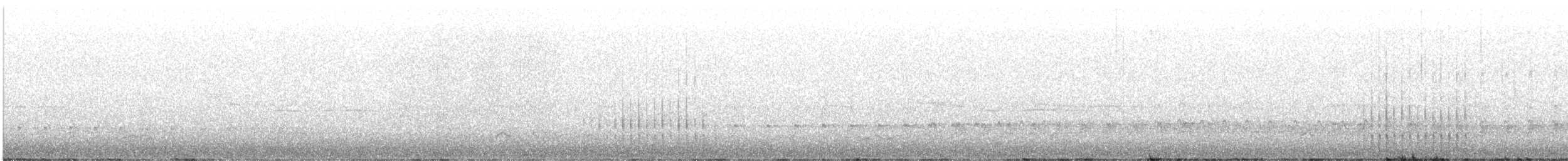 White-headed Woodpecker - ML616736812