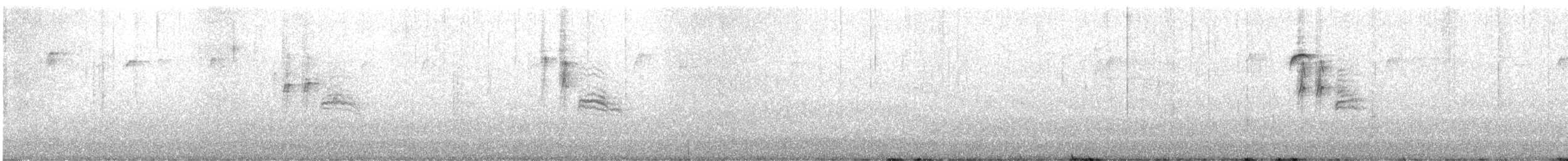 Hudsonmeise - ML616738855