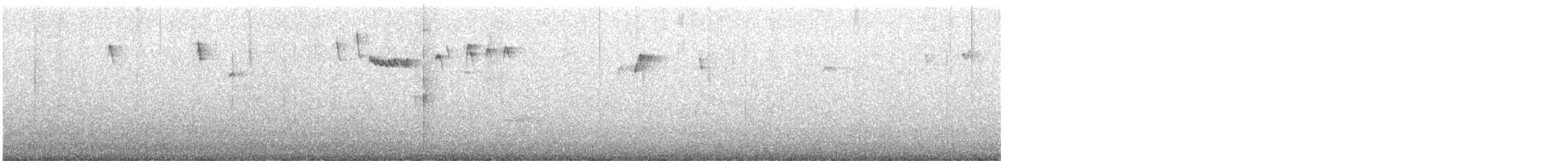 Amerikabaumläufer - ML616738861