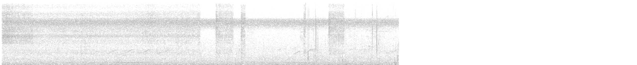 Bright-rumped Attila (Northern) - ML616739439