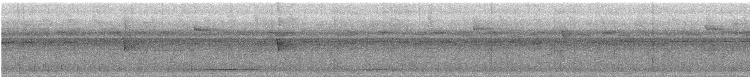 White-throated Tinamou - ML616739733