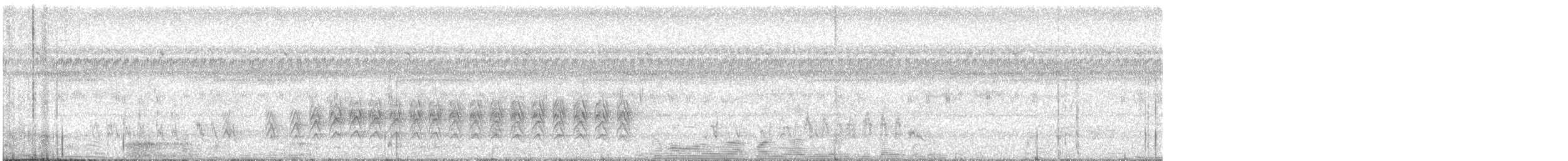 Weißbauch-Schwalbenstar - ML616740480