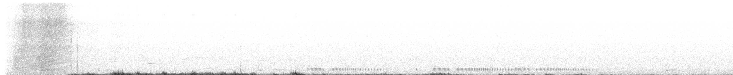 morčák chocholatý - ML616740894