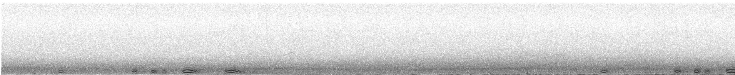 Сова плямиста - ML616741078