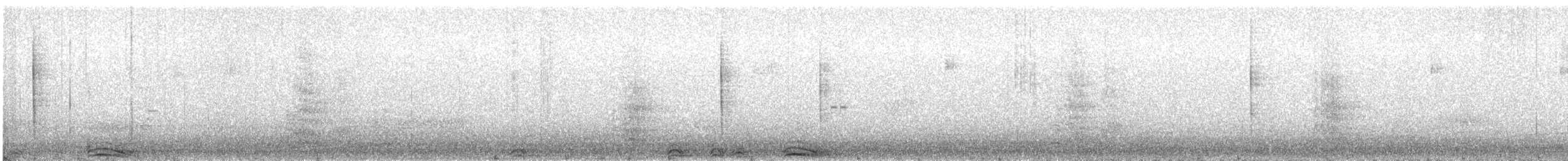 Сова плямиста - ML616741138