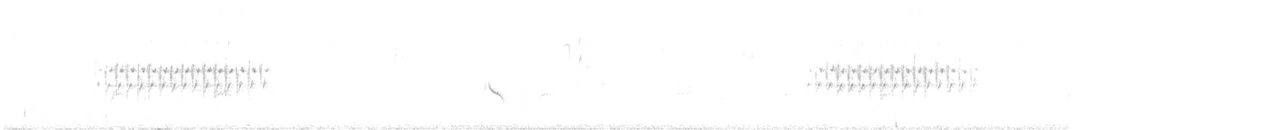 Юнко сірий [група oreganus] - ML616742950