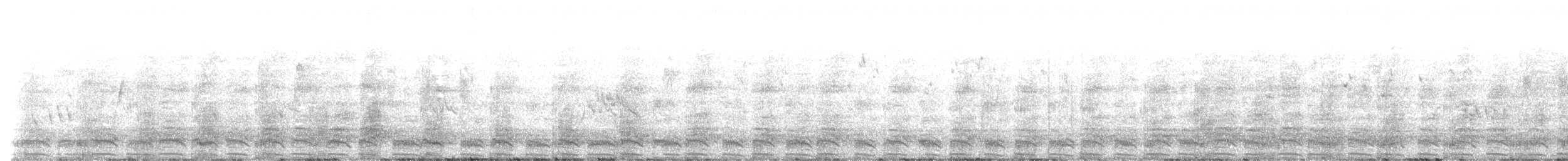 Gallinule de Tasmanie - ML616743816