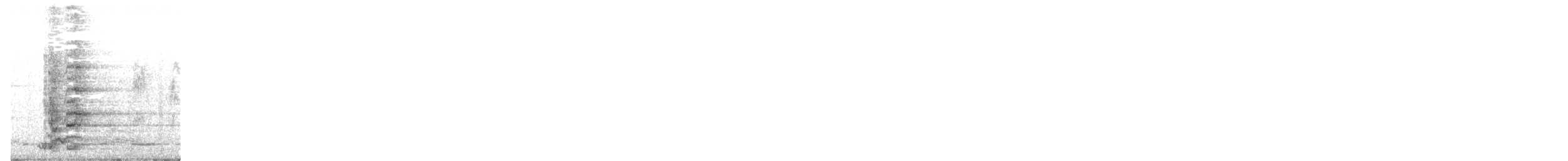 Yellow Wattlebird - ML616743832