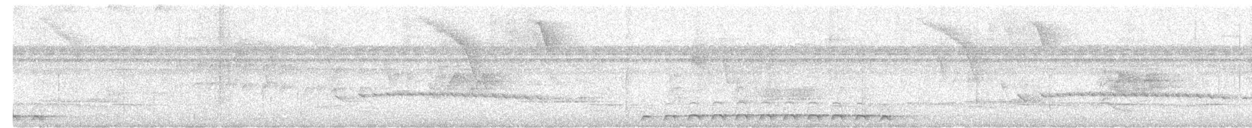 Trogon échelette - ML616744465