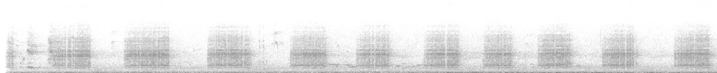kakadu černý - ML616744595