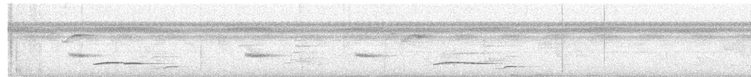Troglodyte à poitrine blanche - ML616745009