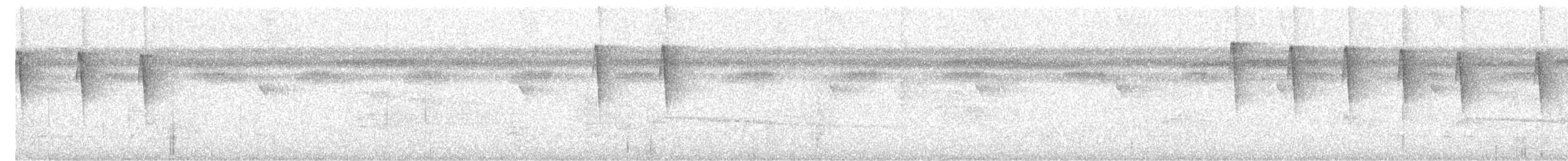 Tropfenkehl-Ameisenschlüpfer - ML616745159