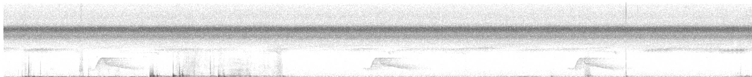 Pauraquenachtschwalbe - ML616745632