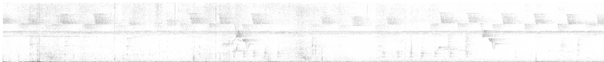 holub krátkozobý - ML616745998