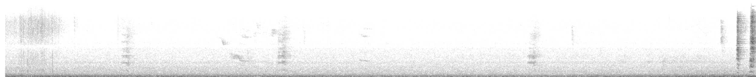 Медолюб-сережник східний - ML616748081