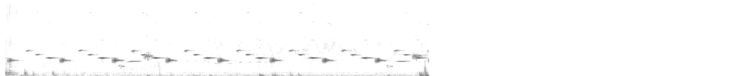 Psophode carillonneur - ML616748406