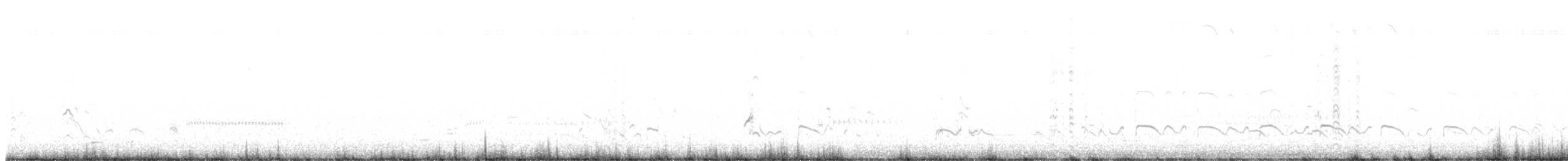 kulík hnědokřídlý - ML616750321