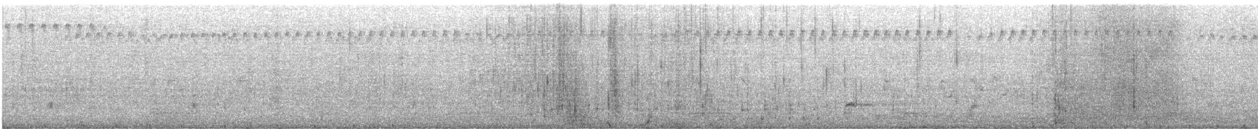 blånebband - ML616752500