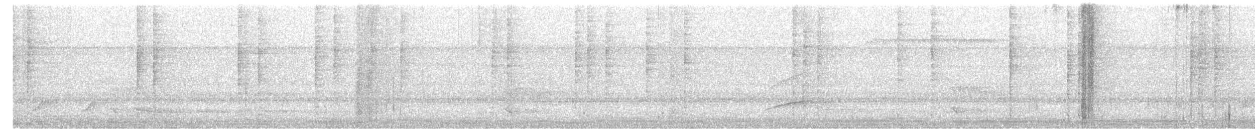 Troglodyte rufalbin - ML616755155
