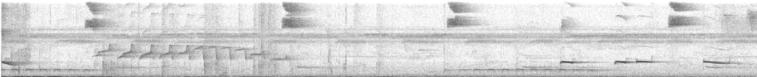 Weißkehl-Ameisenvogel - ML616755464