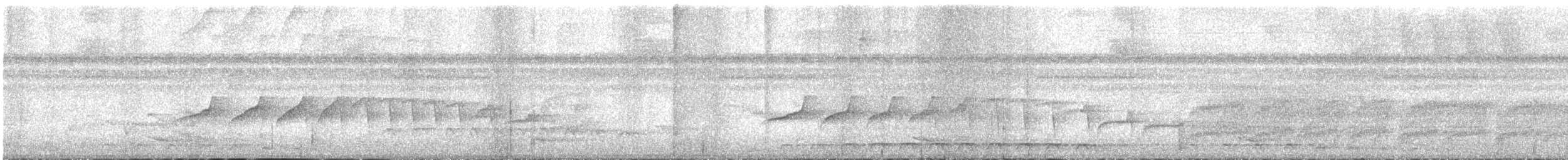 Мурав’янка-куцохвіст плямиста - ML616755553