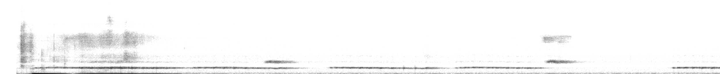 Желтоклювый саблеклюв - ML616756740