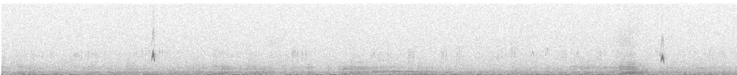 Band-tailed Sierra Finch - ML616761752