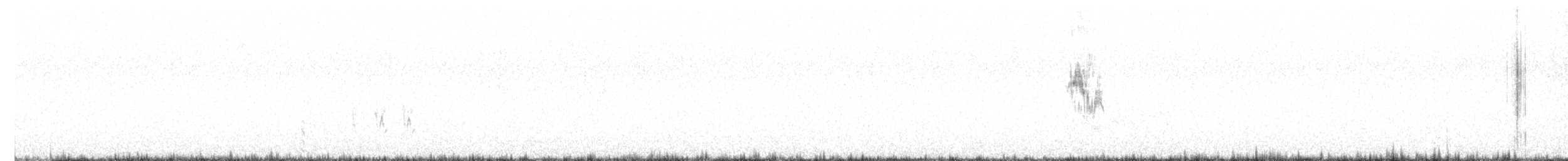 Bisbita Neozelandés (grupo australis) - ML616762254