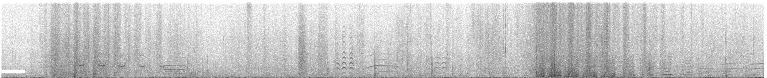 Aura Gallipavo - ML616763084