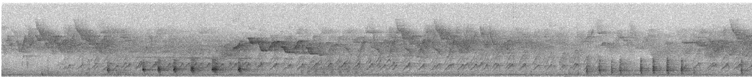 Büyük Islıkçı Bülbülü [flavirostris grubu] - ML616764154