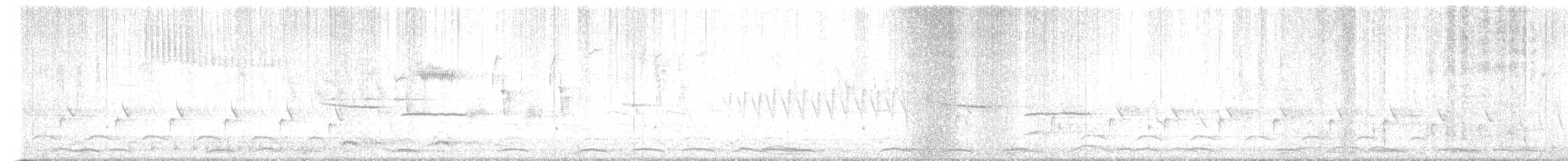 Cygne siffleur - ML616765470