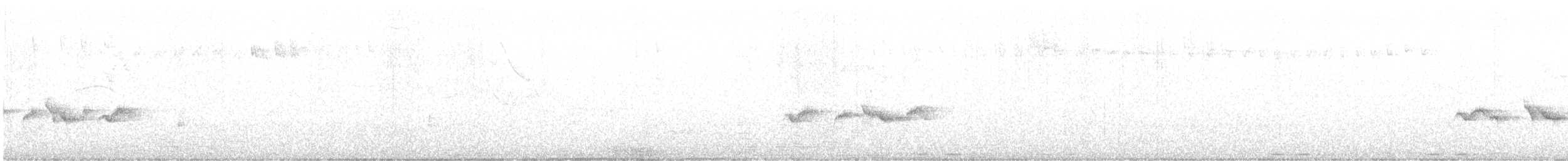 Ak Kaşlı Mavi Kuyruklu Bülbül (formosanus) - ML616765723