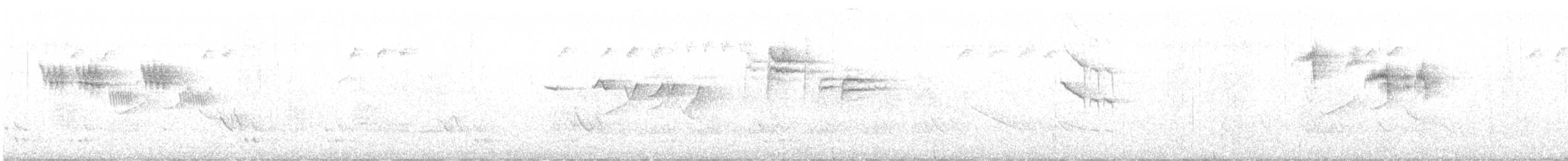 aurorafluesnapper - ML616765839