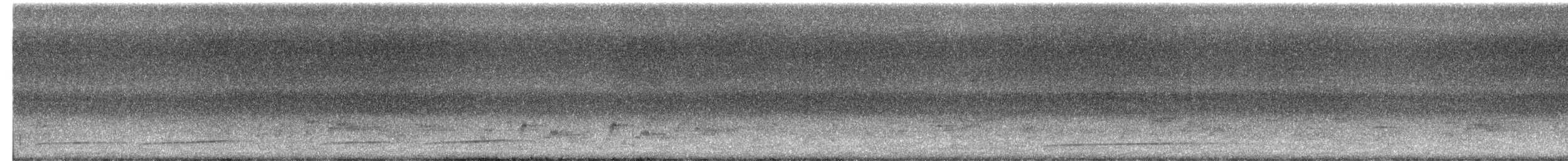 Torquéole de Sonnerat - ML616767193